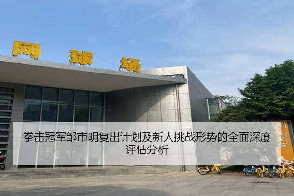 拳击冠军邹市明复出计划及新人挑战形势的全面深度评估分析